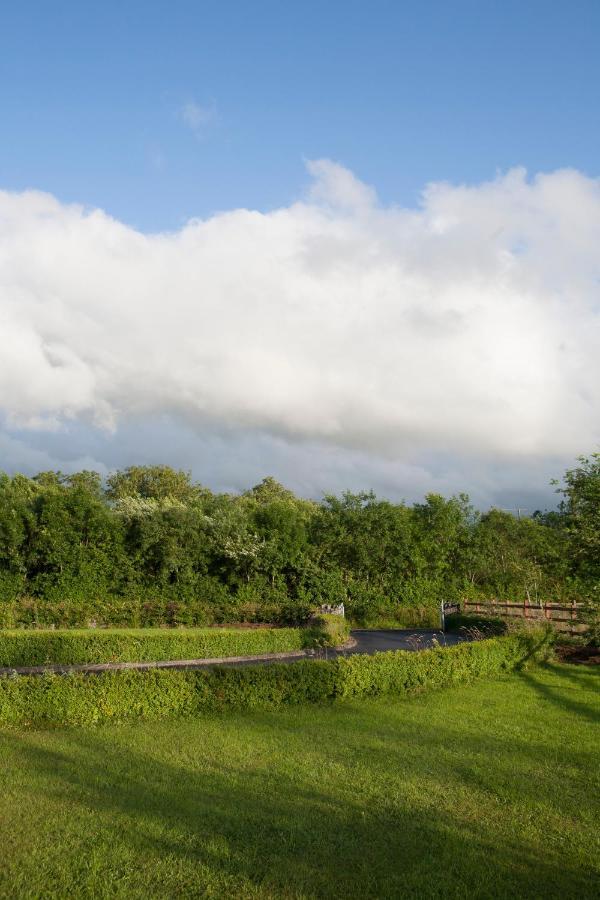 Villa Inviting 4-Bed House In Strokestown Extérieur photo
